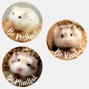 Etiquetas Positividade - Hammyville Cute Hamsters