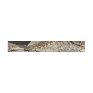 Etiquetas Rattlesnake no Parque Nacional de Shenandoah