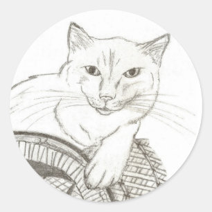 Etiquetas redondas do retrato de Ragdoll do gato -