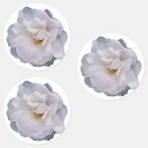 Etiquetas Rosa de cinza rosa