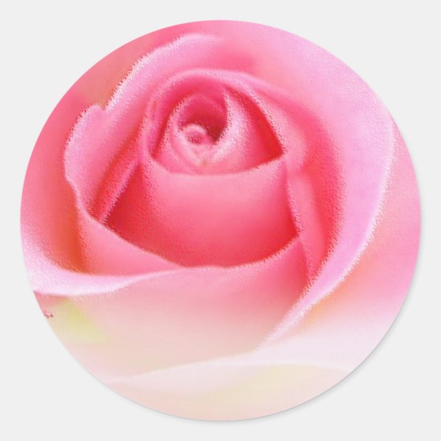 Etiquetas rosadas (Frente)