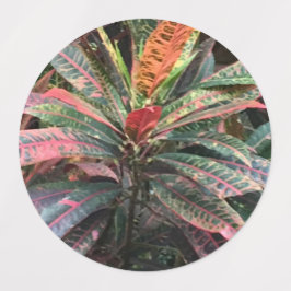 ETIQUETAS RÓTULOS DO CÍRCULO