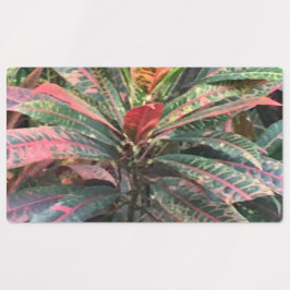 ETIQUETAS RÓTULOS DO CÍRCULO