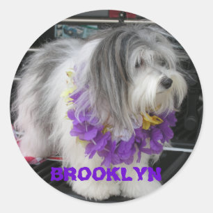 ETIQUETAS ROXAS DE BROOKLYN HAVAÍ