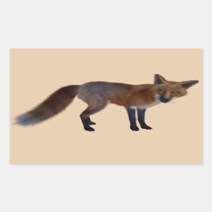 etiquetas selvagens da raposa