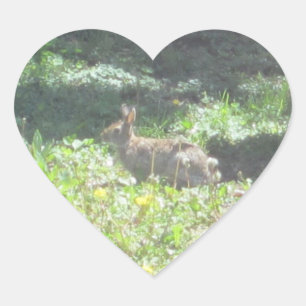 Etiquetas selvagens do coelho - folha de 20