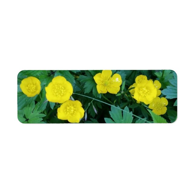 Etiquetas temáticos do botão de ouro (Frente)