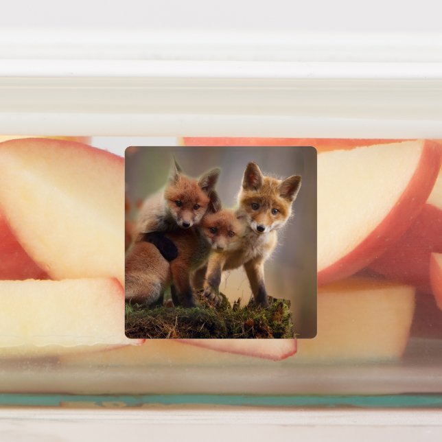 Etiquetas Tripletes Foxy (Afixado)