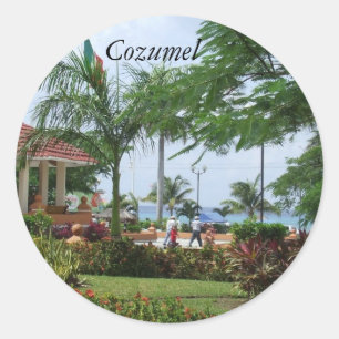 Etiquetas tropicais da palmeira de Cozumel