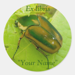 Etiquetas verdes do besouro de junho dos libris ex