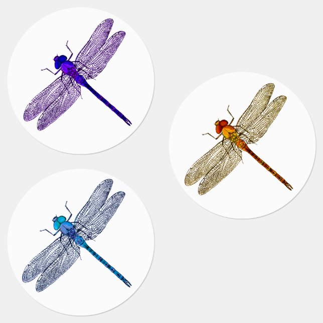 Etiquetas Vinhetas Dragonfly de três cores (Grupo)