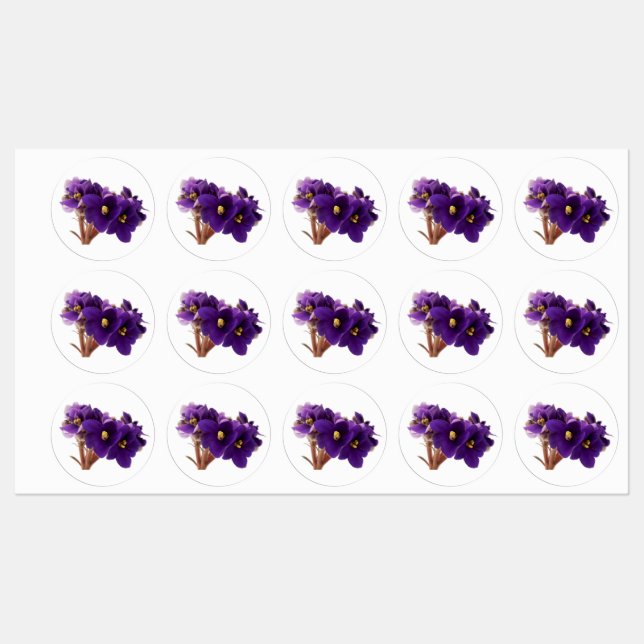 Etiquetas Violeta africana (Folha)