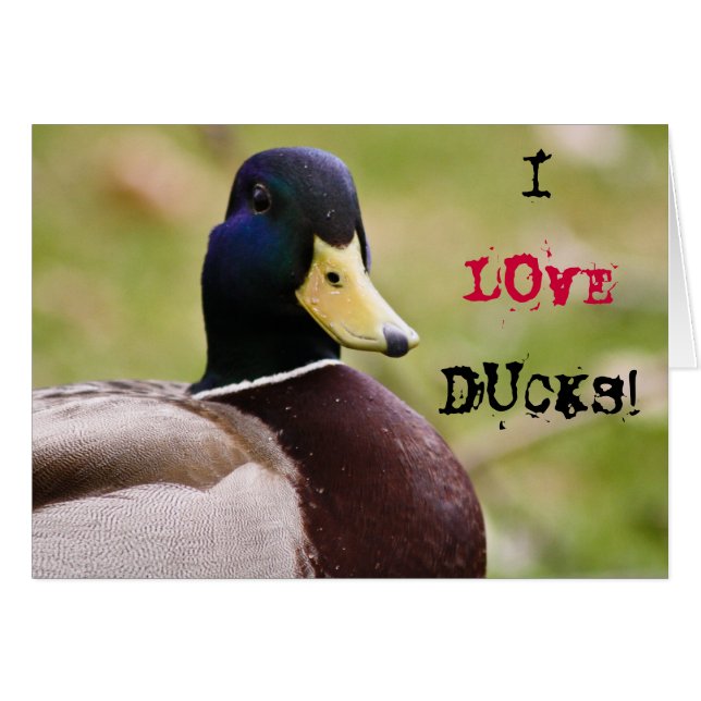 Eu Adoro Cartão De Patos (Frente Horizontal)