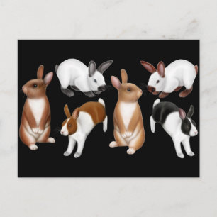 Eu adoro cartão postal dos coelhos