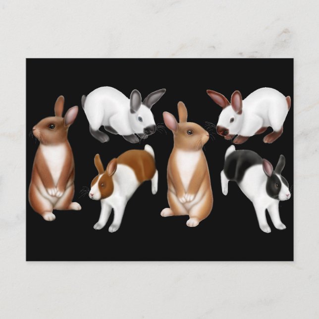 Eu adoro cartão postal dos coelhos (Frente)