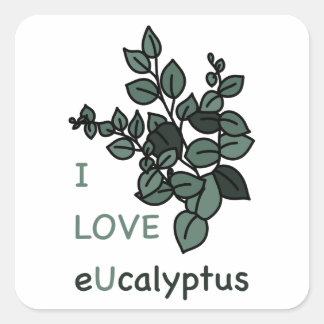 Eu adoro o adesivo de ucalyptus