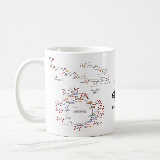 Eu amo a caneca da bioquímica - biochimica do la (Esquerda)