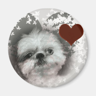 Eu amo a imã de geladeira de Shih-Tzus