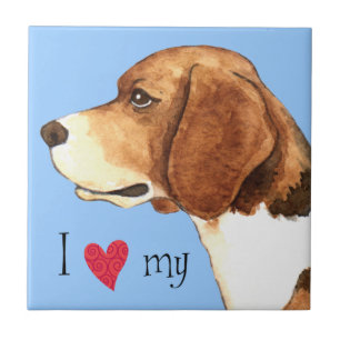 Eu Amo a minha Beagle