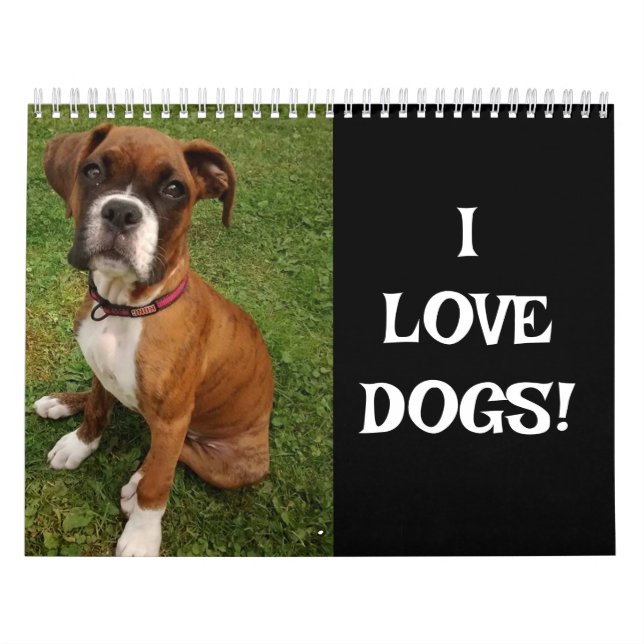EU AMO CÃES   CALENDÁRIO (Capa)