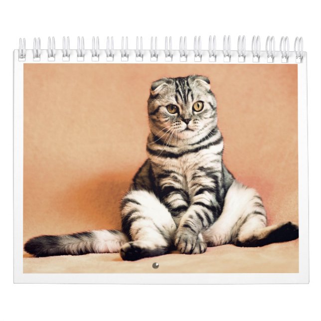 Eu amo calendário de gatos 2026 (Capa)