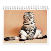 Eu amo calendário de gatos 2026