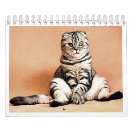 Eu amo calendário de gatos 2026