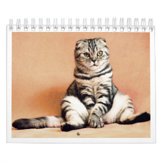 Eu amo calendário de gatos 2026