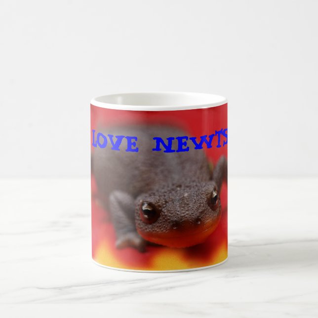 Eu amo canecas dos Newts (Centro)