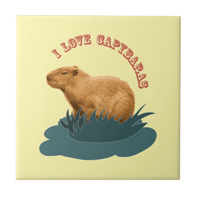 Eu Amo Capivaras Amante de Capivara Fofa (Frente)
