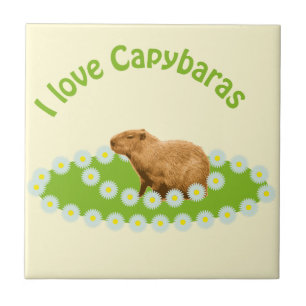Eu amo Capybaras