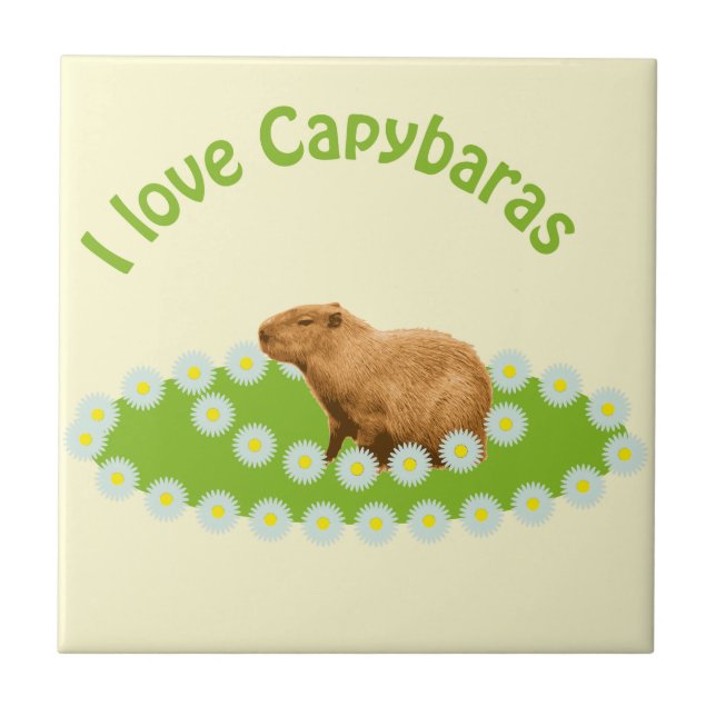 Eu amo Capybaras (Frente)