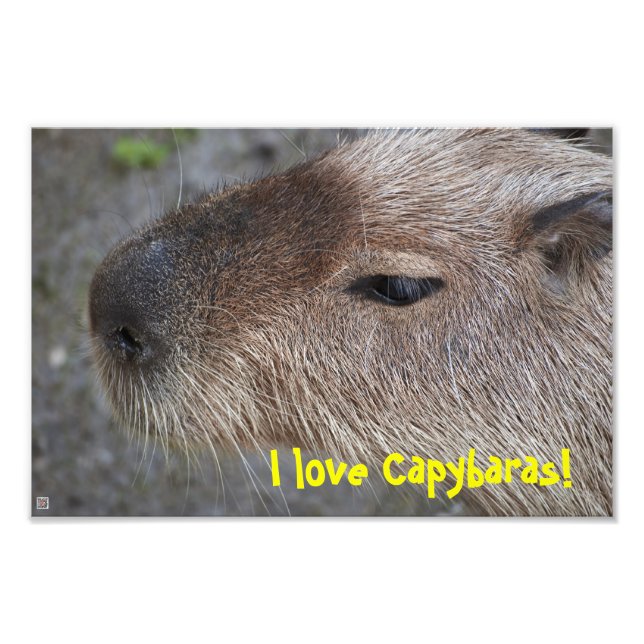 Eu amo Capybaras! Ampliação de Fotos (Frente)