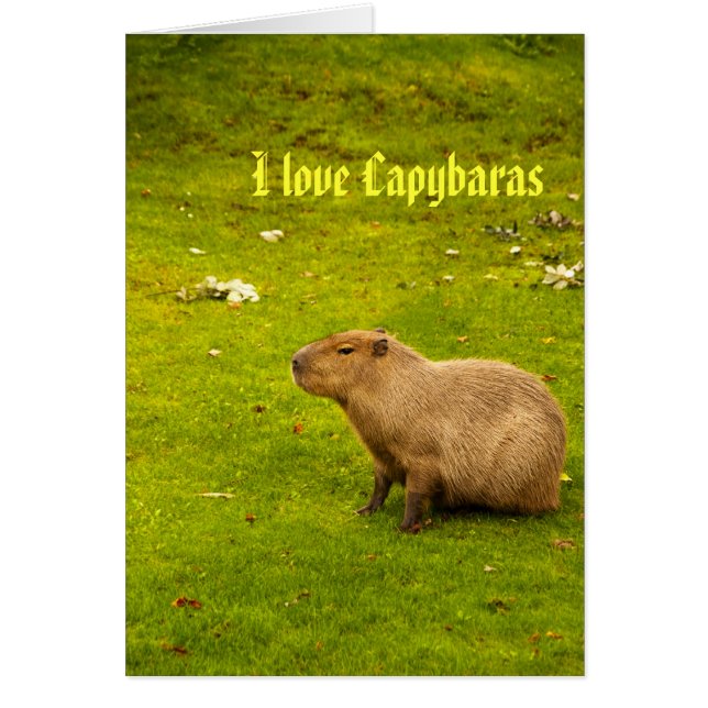 Eu amo cartão de capivaras (Frente)
