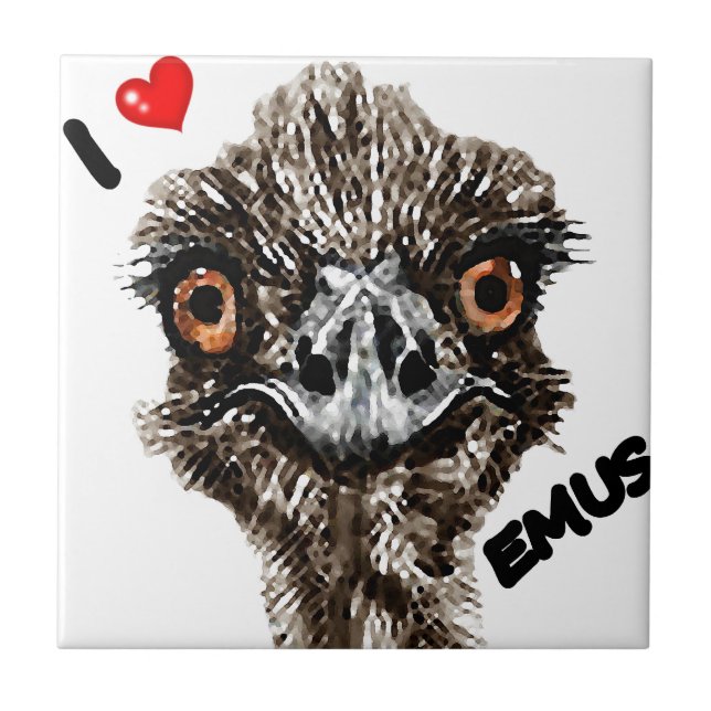 EU AMO EMUS (Frente)