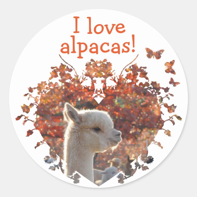 Eu amo etiquetas das alpacas (Frente)