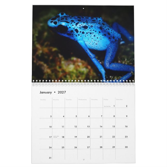 Eu amo meu calendário impresso costume dos sapos (Jan 2027)
