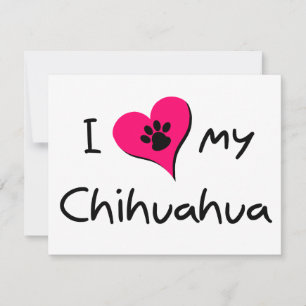 Eu amo meu Chihuahua