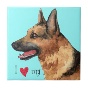 Eu amo meu German shepherd
