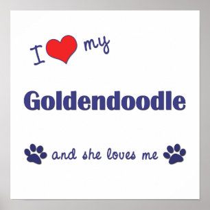 Eu amo meu impressão do poster de Goldendoodle