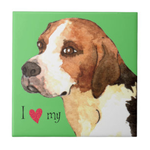 Eu Amo meu Inglês Foxhound