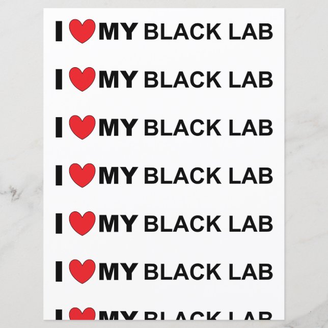 Eu amo meu labrador preto (Frente)