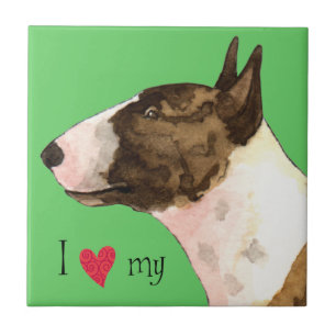 Eu amo meu Mini Bull Terrier