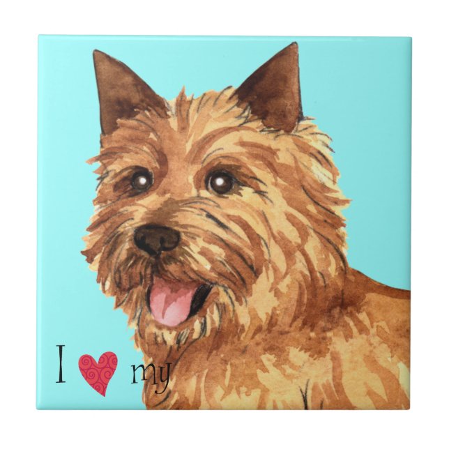 Eu amo meu Norwich Terrier (Frente)