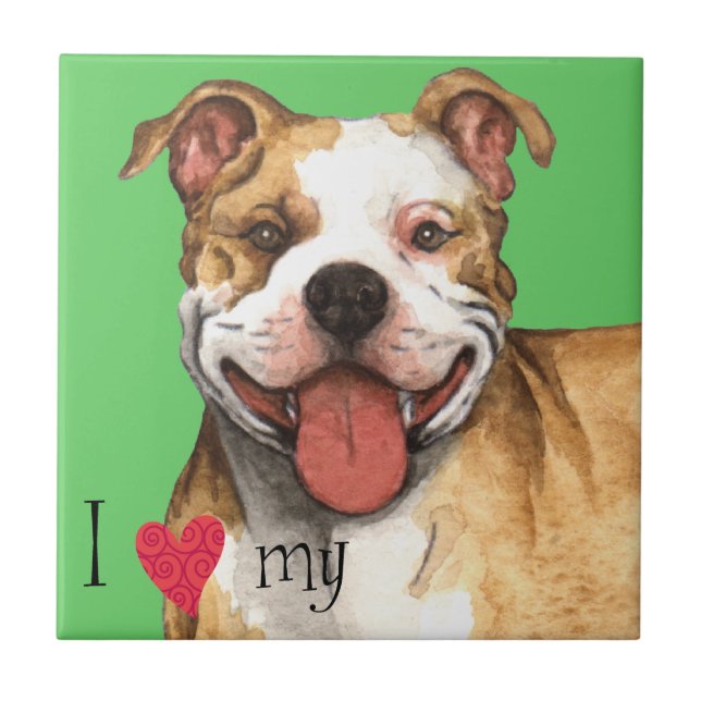 Eu amo meu pitbull Terrier (Frente)