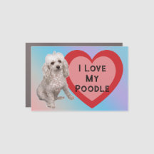 Eu Amo Meu Poodle