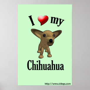 Eu amo meu poster da chihuahua
