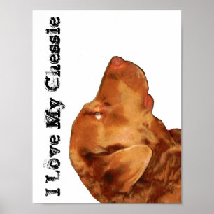 Eu amo meu poster de Chessie