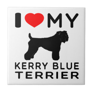 Eu amo meu terrier de azul de Kerry