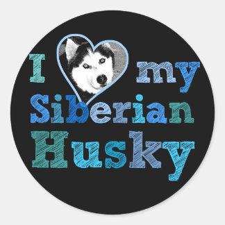 Eu amo minha grande etiqueta do rouco Siberian